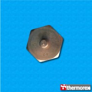 Termostato TK24 a 60°C - Contactos normalmente cerrados - Terminales vertical - Fijación con tornillo M4 - Base hexagonal