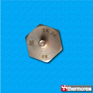 Thermostat TK24 at 80°C - Normally closed contacts - Vertical terminals - With M4 screw