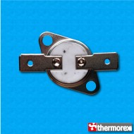 Thermostat TK24 at 100°C - Normally closed contacts - Ceramic body - Horizontal terminals - With round clip