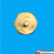 Thermostat TK24 107°C - Contacts normalement fermés - Terminaux vertical - Fixation avec vis M4
