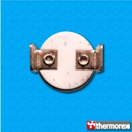 Thermostat TK24 at 330°C - Normally closed contacts - Vertical terminals - With M5 screw - Ceramic body