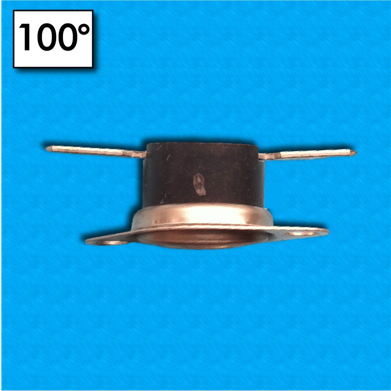Termostato R40 a 60°C - Contatti normalmente aperti - Con flangia mobile - Terminali orizzontali - Portata 10A