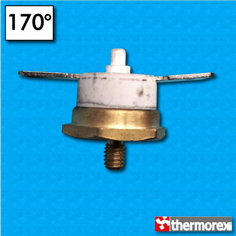 Termostato TK32 a 170°C -...