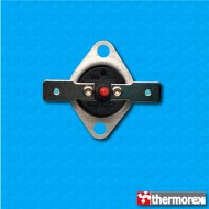 Thermostat TK32 au 115°C - Reset manuelle - Terminaux horizonteaux - Avec bride fixe