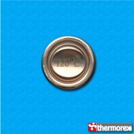 Thermostat TK32 au 120°C - Reset manuelle - Terminaux vertical - Sans bride mobile - Corps haut