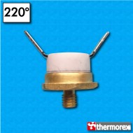 Termostato TK24 a 220°C - Contactos normalmente cerrados - Terminales a 45 grados - Fijación con tornillo M5 - Cuerpo ceramico