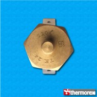 Thermostat TK24 at 220°C - Normally closed contacts - 45° degrees terminals - With M5 screw - Ceramic body