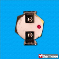 Termostato TK24 a 56°C - Contactos normalmente cerrados - Terminales vertical - Fijación con tornillo M5 - Cuerpo alto ceramico