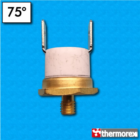 Termostato TK24 a 75°C - Contactos normalmente cerrados - Terminales vertical - Fijación con tornillo M5 - Cuerpo ceramico