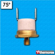 Termostato TK24 a 75°C - Contactos normalmente cerrados - Terminales vertical - Fijación con tornillo M5 - Cuerpo ceramico