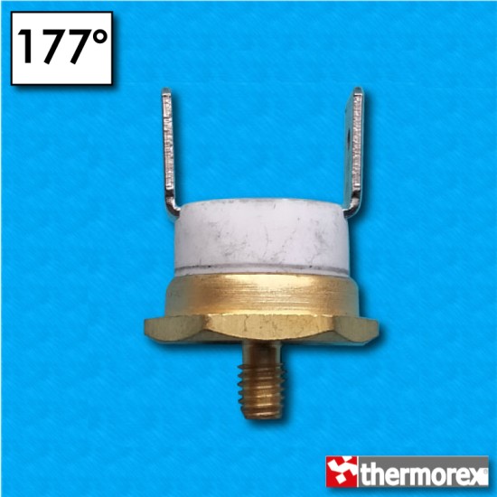 Termostato TK24 a 177°C - Contatti normalmente chiusi - Terminali verticali - Fissaggio a vite M4 - Corpo ceramico