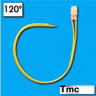 Thermal protector C1B - Temp. 120°C - Radox cables 300/300 mm - Rated current 2,5A - Suitable for vacuum impregnation