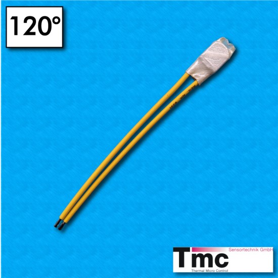 Protettore termico G4 - Temperatura 120°C - Cavetti Radox 100/100 mm - Portata 16A