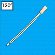 Protettore termico BW-B2D - Temperatura 120°C - Cavetti 100/100 mm - Portata 5A