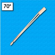 Protettore termico BW-CCP - Temperatura 70°C - Cavetti 70/70 mm - Portata 2A