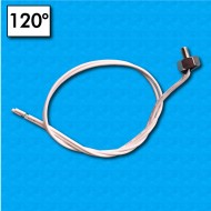 Thermal protector ST01 - Temperature 120°C - Cables 300/300 mm - M4 screw fixing - Rated current 5A