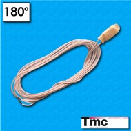 Thermal protector C1B - Temperature 180°C - FEP cables 1000/1000 mm - Rated current 2,5A