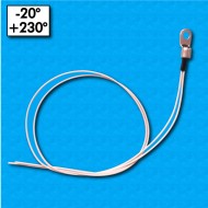 Thermal probe STTW01 - Temperature range -20°/+230°C - Cables 390/390mm - Beta 4300 - Body in epoxy resin