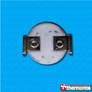 Thermostat TK24 195°C - Contacts normalement fermés - Terminaux vertical - Sans bride de fixation - Corps en ceramique