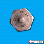 Termostato TK24 a 100°C - Contactos normalmente cerrados - Terminales vertical - Fijación con tornillo M4