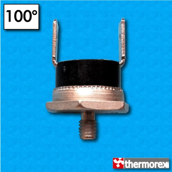 Thermostat TK24 100°C - Contacts normalement fermés - Terminaux vertical - Fixation avec vis M4