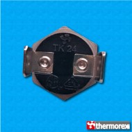 Termostato TK24 a 95°C - Contactos normalmente cerrados - Terminales vertical - Fijación con tornillo M4 - Base de aluminio
