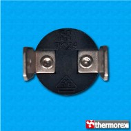 Thermostat TK24 at 105°C - Normally closed contacts - Vertical terminals - No mounting