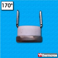 Termostato TK24 a 170°C - Contactos normalmente abierto - Terminales vertical - Sin fijar - Cuerpo ceramico