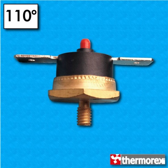 Termostato TK32 a 110°C - Riarmo manuale - Terminali orizzontali - Fissaggio a vite M4