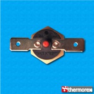 Termostato TK32 a 110°C - Rearme manual - Terminales horizontal - Fijación con tornillo M4