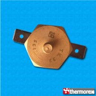 Thermostat TK32 au 135°C - Reset manuelle - Terminaux horizonteaux - Fixation avec vis M4 - Corps haut