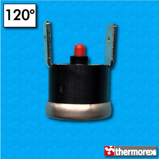 Termostato TK32 a 120°C - Rearme manual - Terminales vertical - Sin brida de fijación - Cuerpo alto
