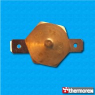 Termostato TK32 a 170°C - Rearme manual - Terminales horizontal - Fijación con tornillo M4 - Cuerpo ceramico