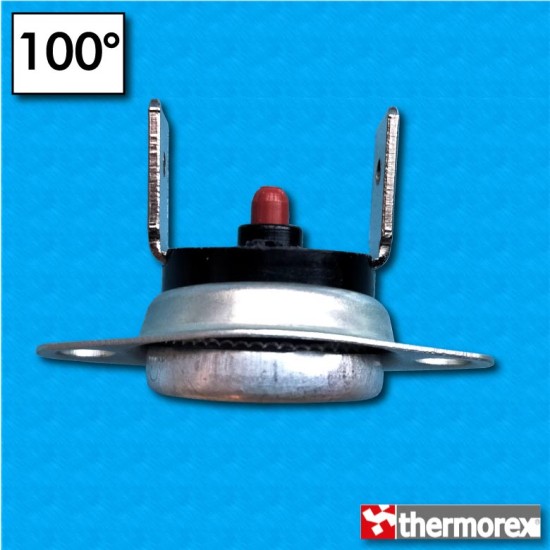 Termostato TK32 a 100°C - Riarmo manuale - Terminali verticali - Con flangia mobile