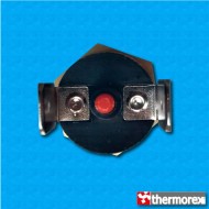 Thermostat TK32 au 135°C - Reset manuelle - Terminaux vertical - Fixation avec vis M4 - Corps haut