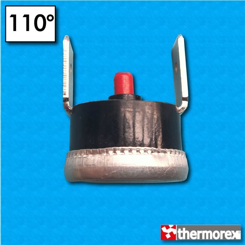 Thermostat TK32 at 110°C -...