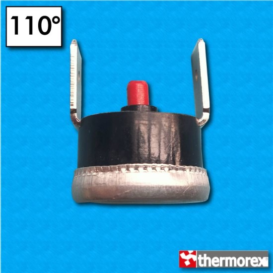 Termostato TK32 a 110°C - Rearme manual - Terminales vertical - Sin brida de fijación