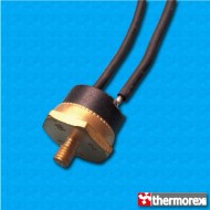 Thermostat TK24 60°C - Contacts normalement fermés - Fixation avec vis M4 - Cables 100/100 mm