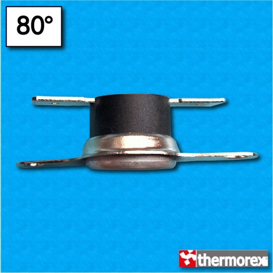 Thermostat TK24 at 80°C - Normally closed contacts - Horizontal terminals - With round clip with 35 mm center distance