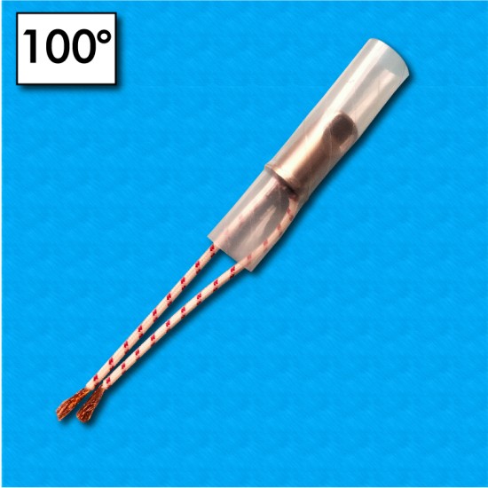 Thermal protector 5DN - Temperature 100°C - Cables 100/100 mm - Rated current 63A