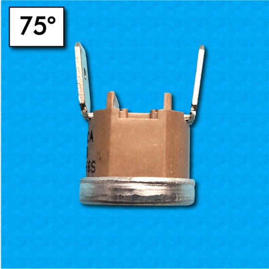 Thermostat PK1 at 75°C - Contacts normalement fermés - Terminaux vertical - Sans bride de fixation - Rated current 10A