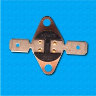 Thermostat R40 at 118°C - Normally closed contacts - Horizontal terminals - With fixed clip - Rated current 10A