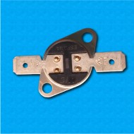 Thermostat R20 at 60°C - Normally open contacts - Horizontal terminals - With round clip - Rated current 10A
