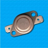 Thermostat R20 at 100°C - Normally open contacts - Horizontal terminals - With round clip - Rated current 10A