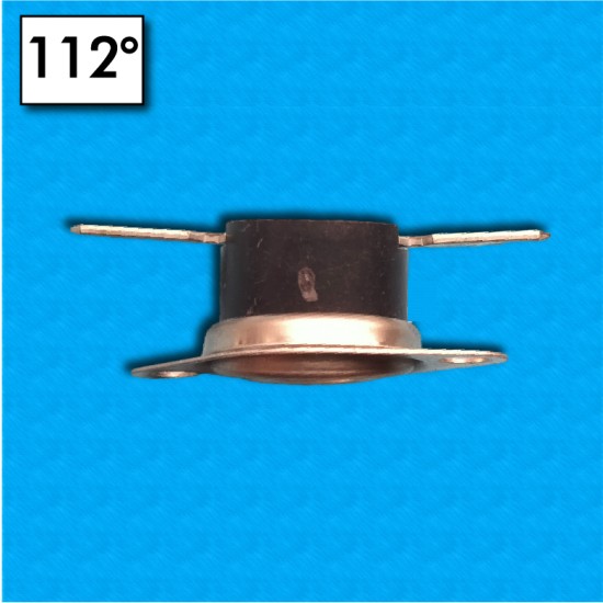 Termostato R20 a 112°C - Contactos normalmente abierto - Terminales horizontal - Con brida mobil - Corriente nominal 10A