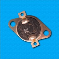 Thermostat R20 at 71°C - Normally closed contacts - Horizontal terminals - With round clip - Rated current 10A