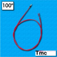 Sonda termica PTC MF1 - Temperatura 100°C - Cables 500/500 mm