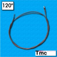 Sonde thermique PTC MF1 - Temperature 120°C - Cables 500/500 mm