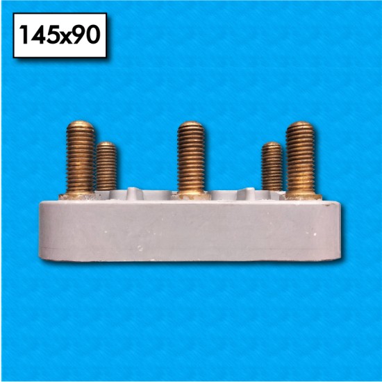 Terminal block AM-145x90-6PM14 - Format 145x90 mm - Provided with 12 nuts, 12 washers and 3 bridges