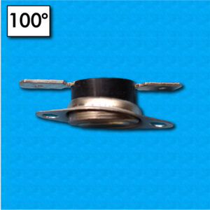 Termostato R20 a 100°C - Contatti normalmente aperti - Con flangia mobile - Terminali orizzontali - Portata 10A